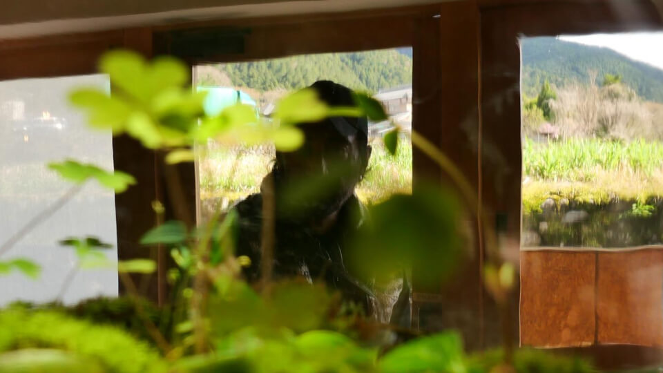 Aura Studios — natural intelligence applied to story, systems, and place